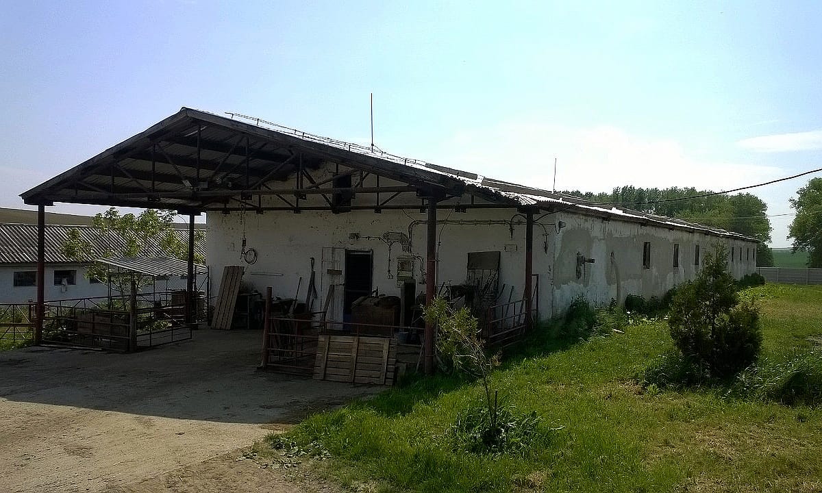 rekonstrukcja hali betonowej