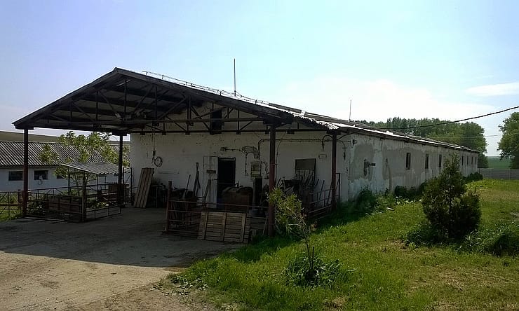 rekonstrukcja hali betonowej